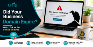 business domain